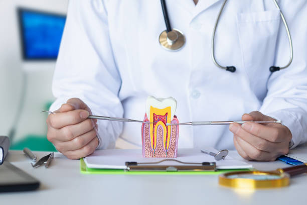 Best Holiday Emergency Dentist in St Henry, OH